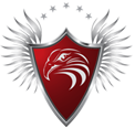 Eagle Eye Information Technology & Security System